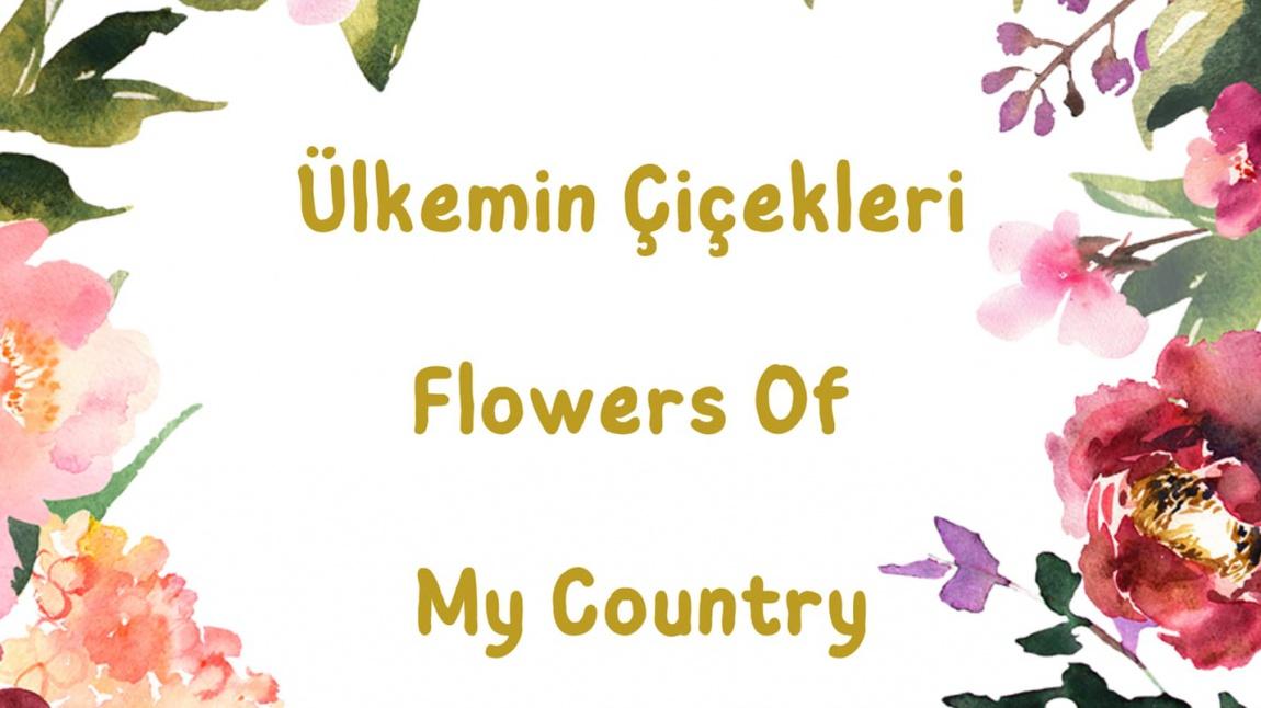 Ülkemin Çiçekleri  Flowers Of My Country eTwininning projesi başladı.. 4/A sinifi öğrencileri katılmış olduğu proje ile kokulu bir yolculuğa çıktılar.